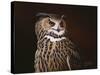 Eagle Owl-Wilhelm Goebel-Stretched Canvas