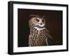 Eagle Owl-Wilhelm Goebel-Framed Giclee Print