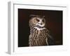 Eagle Owl-Wilhelm Goebel-Framed Giclee Print