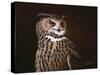 Eagle Owl-Wilhelm Goebel-Stretched Canvas