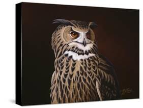 Eagle Owl-Wilhelm Goebel-Stretched Canvas