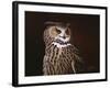 Eagle Owl-Wilhelm Goebel-Framed Giclee Print