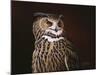 Eagle Owl-Wilhelm Goebel-Mounted Giclee Print