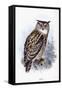 Eagle Owl-Johan Gerard Keulemans-Framed Stretched Canvas