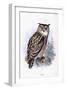 Eagle Owl-Johan Gerard Keulemans-Framed Giclee Print