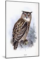 Eagle Owl-Johan Gerard Keulemans-Mounted Giclee Print