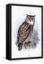 Eagle Owl-Johan Gerard Keulemans-Framed Stretched Canvas