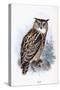 Eagle Owl-Johan Gerard Keulemans-Stretched Canvas