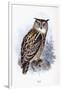 Eagle Owl-Johan Gerard Keulemans-Framed Giclee Print