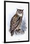 Eagle Owl-Johan Gerard Keulemans-Framed Giclee Print