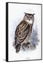 Eagle Owl-Johan Gerard Keulemans-Framed Stretched Canvas