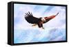 Eagle Painting-Ata Alishahi-Framed Stretched Canvas