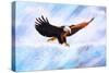 Eagle Painting-Ata Alishahi-Stretched Canvas