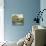 Eagle Peak-Mark Chandon-Stretched Canvas displayed on a wall