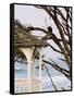 Eagle Perched at Entrance to Beach Trail, Kalaloch Lodge, Olympic National Park, Washington, USA-Trish Drury-Framed Stretched Canvas