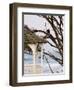 Eagle Perched at Entrance to Beach Trail, Kalaloch Lodge, Olympic National Park, Washington, USA-Trish Drury-Framed Photographic Print