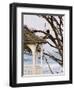 Eagle Perched at Entrance to Beach Trail, Kalaloch Lodge, Olympic National Park, Washington, USA-Trish Drury-Framed Photographic Print