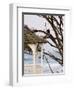 Eagle Perched at Entrance to Beach Trail, Kalaloch Lodge, Olympic National Park, Washington, USA-Trish Drury-Framed Photographic Print