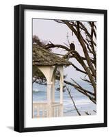 Eagle Perched at Entrance to Beach Trail, Kalaloch Lodge, Olympic National Park, Washington, USA-Trish Drury-Framed Photographic Print