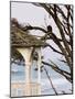 Eagle Perched at Entrance to Beach Trail, Kalaloch Lodge, Olympic National Park, Washington, USA-Trish Drury-Mounted Photographic Print