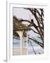 Eagle Perched at Entrance to Beach Trail, Kalaloch Lodge, Olympic National Park, Washington, USA-Trish Drury-Framed Photographic Print