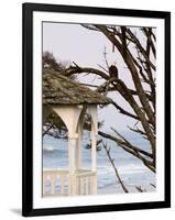 Eagle Perched at Entrance to Beach Trail, Kalaloch Lodge, Olympic National Park, Washington, USA-Trish Drury-Framed Photographic Print