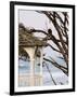 Eagle Perched at Entrance to Beach Trail, Kalaloch Lodge, Olympic National Park, Washington, USA-Trish Drury-Framed Photographic Print