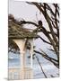 Eagle Perched at Entrance to Beach Trail, Kalaloch Lodge, Olympic National Park, Washington, USA-Trish Drury-Mounted Photographic Print