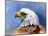 Eagle Portrait-Spencer Williams-Mounted Giclee Print