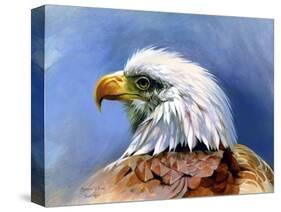 Eagle Portrait-Spencer Williams-Stretched Canvas