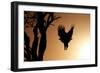 Eagle Rising-Susann Parker-Framed Premium Photographic Print