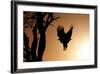 Eagle Rising-Susann Parker-Framed Photographic Print