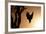 Eagle Rising-Susann Parker-Framed Photographic Print