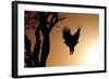 Eagle Rising-Susann Parker-Framed Photographic Print