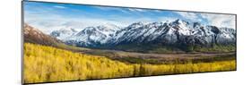 Eagle River Valley with Hurdygurdy Mountain in the background, Chugach National Park, Alaska, USA-null-Mounted Photographic Print