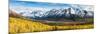 Eagle River Valley with Hurdygurdy Mountain in the background, Chugach National Park, Alaska, USA-null-Mounted Photographic Print