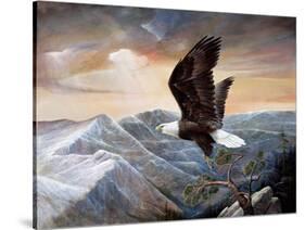 Eagle's Lair-Ruane Manning-Stretched Canvas