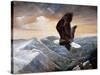 Eagle's Lair-Ruane Manning-Stretched Canvas