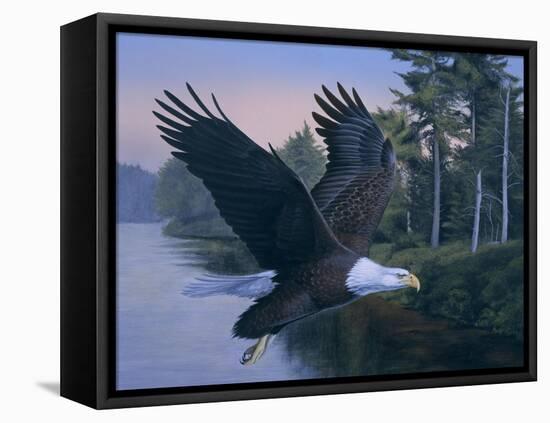 Eagle Soaring-Rusty Frentner-Framed Stretched Canvas