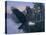 Eagle Soaring-Rusty Frentner-Stretched Canvas