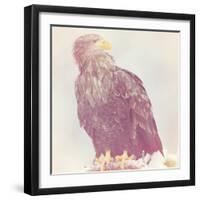 Eagle - Soft-Staffan Widstrand-Framed Giclee Print