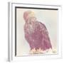 Eagle - Soft-Staffan Widstrand-Framed Giclee Print