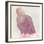 Eagle - Soft-Staffan Widstrand-Framed Giclee Print