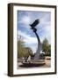 Eagle Statue On The Auburn University Campus-Carol Highsmith-Framed Art Print