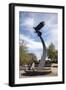 Eagle Statue On The Auburn University Campus-Carol Highsmith-Framed Art Print