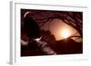 Eagle Sunrise-Gordon Semmens-Framed Photographic Print