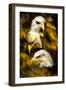 Eagle Three-Gordon Semmens-Framed Giclee Print