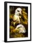 Eagle Three-Gordon Semmens-Framed Giclee Print