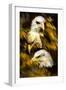 Eagle Three-Gordon Semmens-Framed Giclee Print