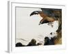 Eagle with Monkey-Zeshin Shibata-Framed Giclee Print